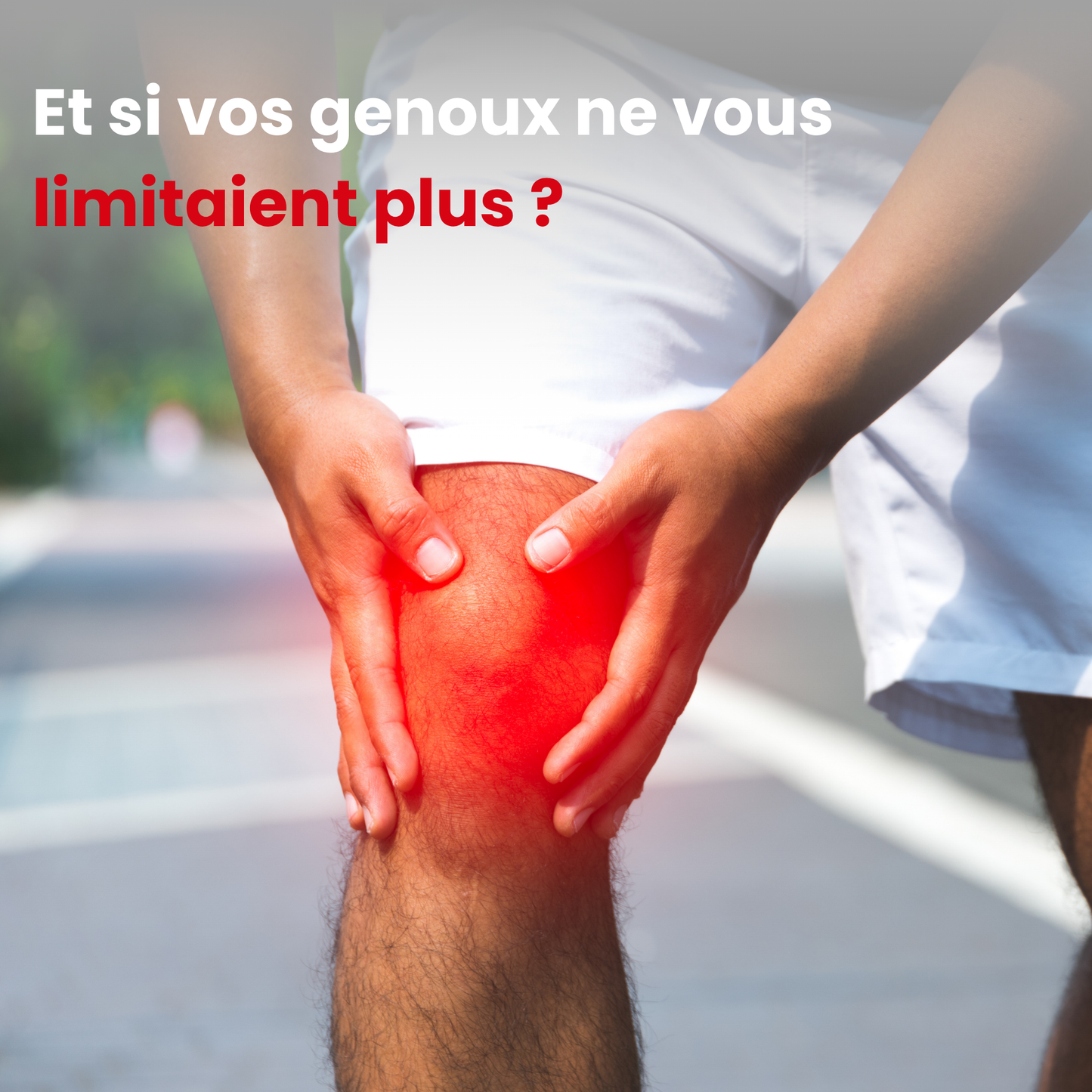 Attelle Genou